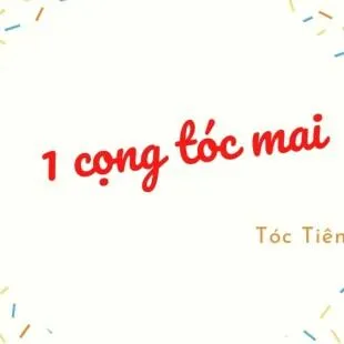 Lời bài hát 1 cọng tóc mai - Tóc Tiên | 1 cọng tóc mai Lyrics