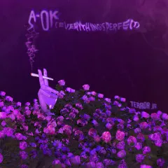 Lời bài hát A-OK (Everything’s Perfect) – Terror Jr