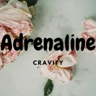 Lời bài hát Adrenaline - Cravity | Adrenaline Lyrics