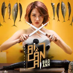 Lời bài hát Ai Cần Ai – Bảo Anh