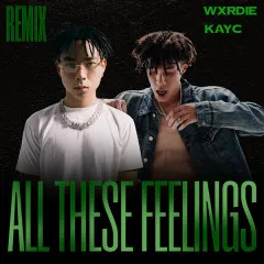 Lời bài hát All These Feelings (Remix) – Wxrdie, KayC