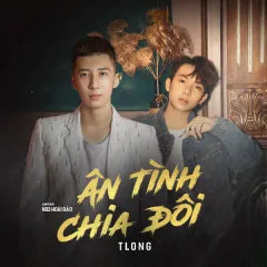 Lời bài hát Ân Tình Chia Đôi – TLong