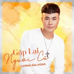 Lời bài hát Áng Mây Vô Tình (Remix) (New Version) – Lương Gia Hùng