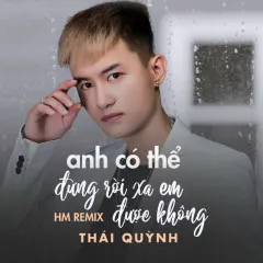 Lời bài hát Anh Có Thể Đừng Rời Xa Em Được Không (HM Remix) – Thái Quỳnh