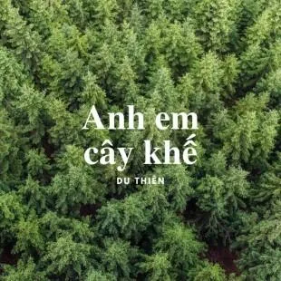 Lời bài hát Anh em cây khế - Du Thiên | Anh em cây khế Lyrics