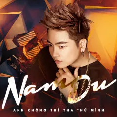 Lời bài hát Anh Không Thể Tha Thứ Mình (New Version) (Beat) – Nam Du