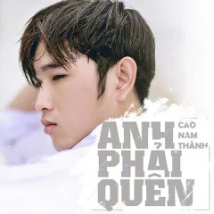 Lời bài hát Anh Phải Quên (Beat) – Cao Nam Thành