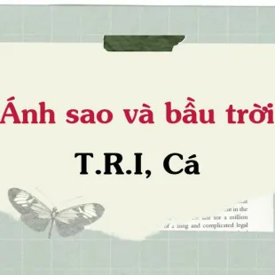 Lời bài hát Ánh Sao Và Bầu Trời - T.R.I, Cá | Ánh Sao Và Bầu Trời Lyrics