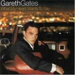 Lời bài hát Anyone Of Us (Stupid Mistake) – Gareth Gates