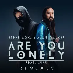 Lời bài hát Are You Lonely (YUAN Remix) – Steve Aoki, Alan Walker, ISÁK