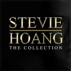 Lời bài hát Before You Break My Heart – Stevie Hoang