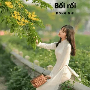 Lời bài hát Bối rối - Đông Nhi | Bối rối Lyrics