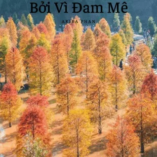 Lời bài hát Bởi Vì Đam Mê - Akira Phan | Bởi Vì Đam Mê Lyrics