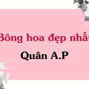 Lời bài hát Bông hoa đẹp nhất - Quân A.P | Bông hoa đẹp nhất Lyrics