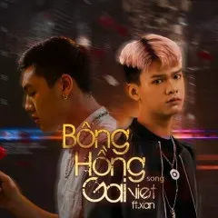 Lời bài hát Bông Hồng Gai (Beat) – Như Việt, XAN