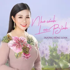 Lời bài hát Bông Mua Tím – Dương Hồng Loan