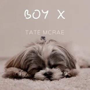 Lời bài hát Boy X - Tate McRae | Boy X Lyrics