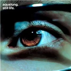 Lời bài hát Brighter Than Sunshine – Aqualung