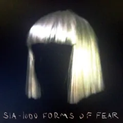 Lời bài hát Burn the Pages – Sia