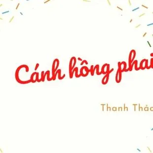 Lời bài hát Cánh hồng phai - Thanh Thảo | Cánh hồng phai Lyrics