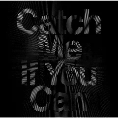 Lời bài hát Catch Me If You Can (Korean Version) – SNSD