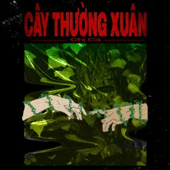 Lời bài hát Cây Thường Xuân – Chị Cả