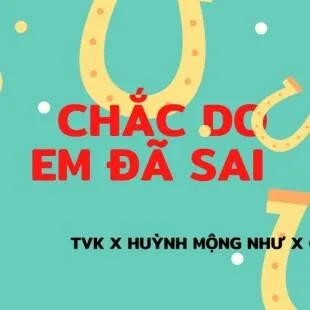 Lời bài hát Chắc do em đã sai - TVk x Huỳnh Mộng Như x CaoTri | Chắc do em đã sai Lyrics