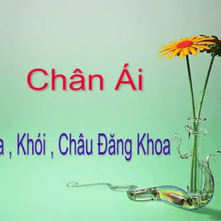 Lời bài hát Chân ái - Orange , Khói, Châu Đăng Khoa | Chân ái Lyrics