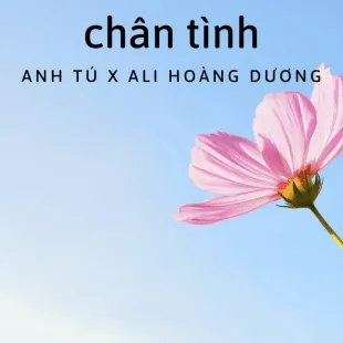 Lời bài hát Chân Tình - Anh Tú x Ali Hoàng Dương | Chân Tình Lyrics