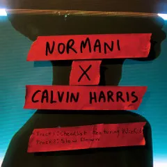 Lời bài hát Checklist – Normani, Calvin Harris, Wizkid