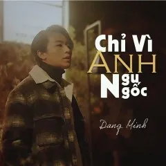 Lời bài hát Chỉ Vì Anh Ngu Ngốc – Đặng Minh