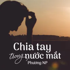 Lời bài hát Chia Tay Trong Nước Mắt – Phương NP