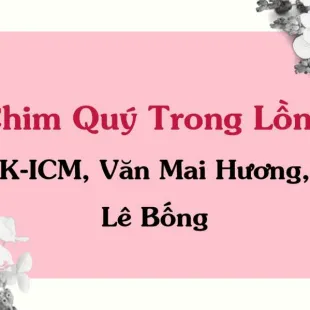 Lời bài hát Chim Quý Trong Lồng - K-ICM, Văn Mai Hương, Lê Bống | Chim Quý Trong Lồng Lyrics