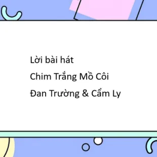 Lời bài hát Chim Trắng Mồ Côi - Đan Trường & Cẩm Ly | Chim Trắng Mồ Côi Lyrics