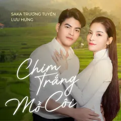 Lời bài hát Chim Trắng Mồ Côi – Saka Trương Tuyền, Lưu Hưng