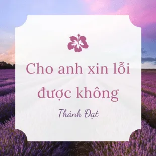 Lời bài hát Cho anh xin lỗi được không - Thành Đạt | Cho anh xin lỗi được không Lyrics