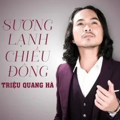 Lời bài hát Chuyện Tình Không Suy Tư – Triệu Quang Hà