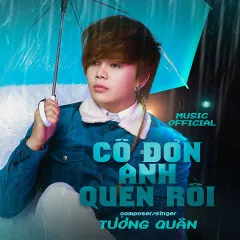 Lời bài hát Cô Đơn Anh Quen Rồi – Tường Quân