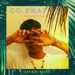 Lời bài hát Có Phải Yêu (Solo Version) – Jackie Njine