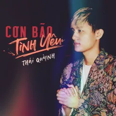 Lời bài hát Cơn Bão Tình Yêu – Thái Quỳnh