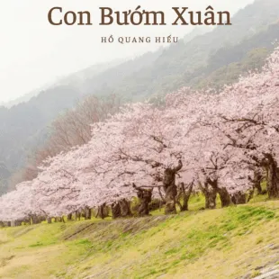 Lời bài hát Con Bướm Xuân - Hồ Quang Hiếu | Con Bướm Xuân Lyrics