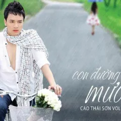 Lời bài hát Con Đường Mưa – Cao Thái Sơn