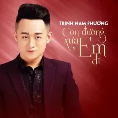 Lời bài hát Con Đường Xưa Em Đi – Trịnh Nam Phương