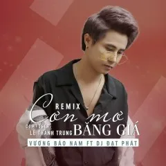 Lời bài hát Cơn Mơ Băng Giá (Remix) (Beat) – Vương Bảo Nam