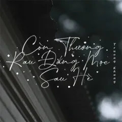 Lời bài hát Còn Thương Rau Đắng Mọc Sau Hè (Lofi Version) – Trường Khang, B.