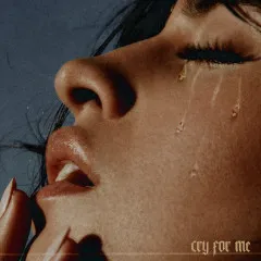 Lời bài hát Cry for Me – Camila Cabello