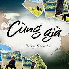 Lời bài hát Cùng Già – Tổng Đài