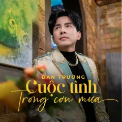 Lời bài hát Cuộc Tình Trong Cơn Mưa (New Version) – Đan Trường