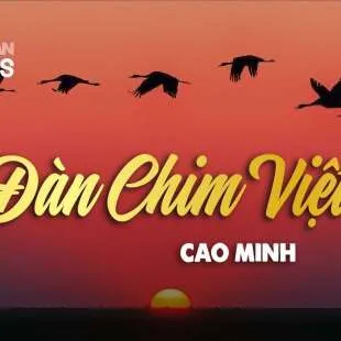 Lời bài hát Đàn chim Việt - Văn Cao | Đàn chim Việt Lyrics