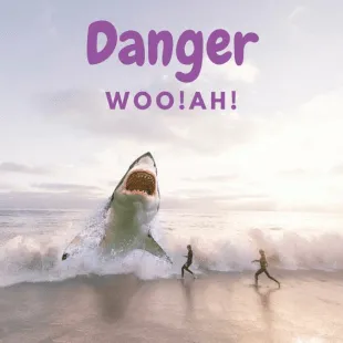 Lời bài hát Danger - Woo!Ah! | Danger Lyrics